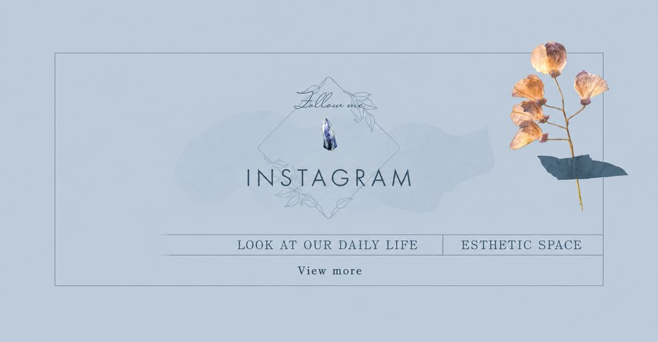 Instagram @salon_loiseaubleu